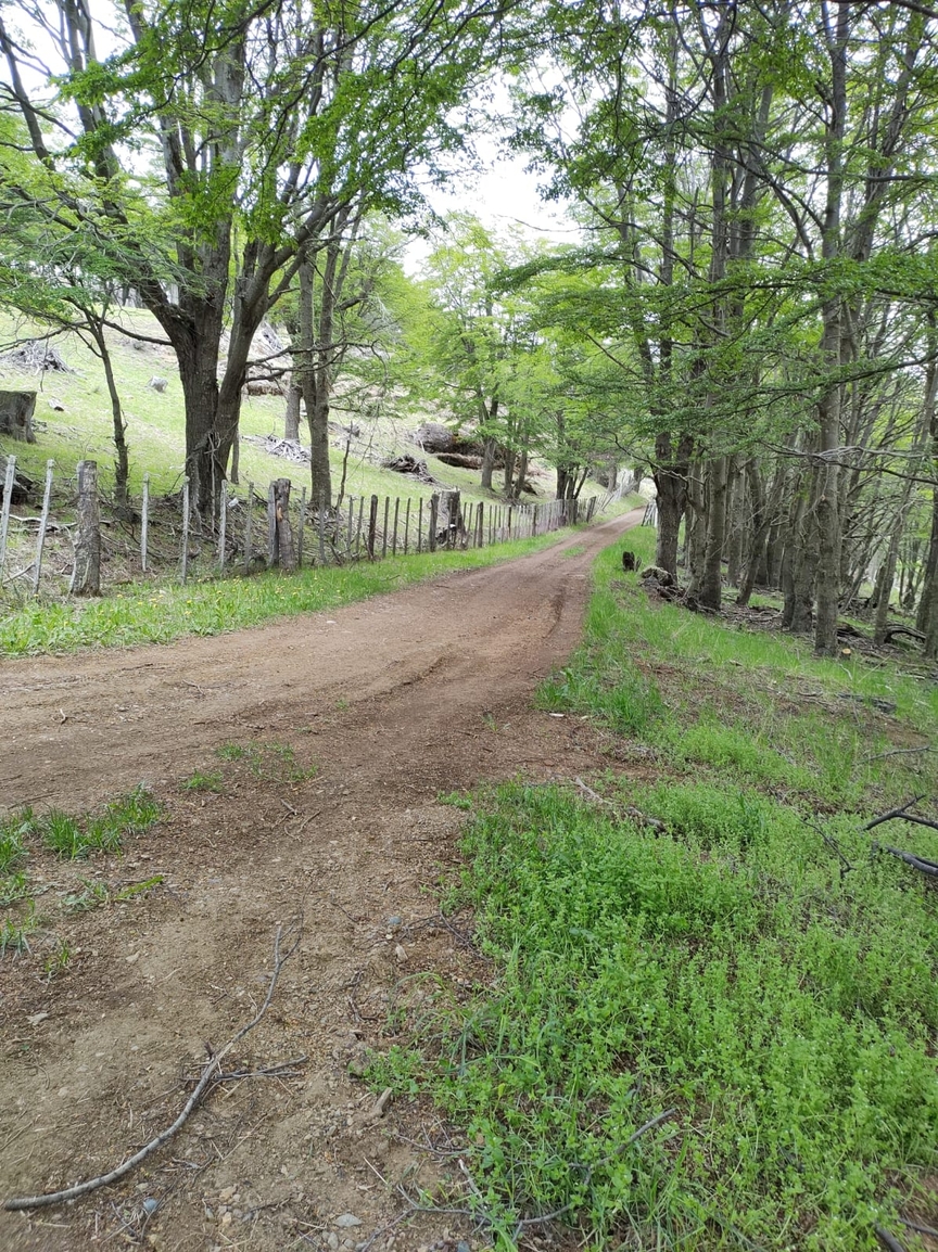 Servidumbre Servidumbre